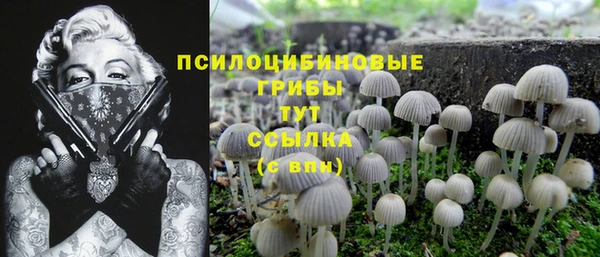 MESCALINE Бородино