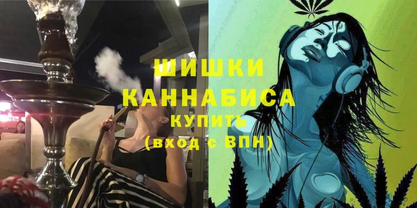 прущие грибы Струнино