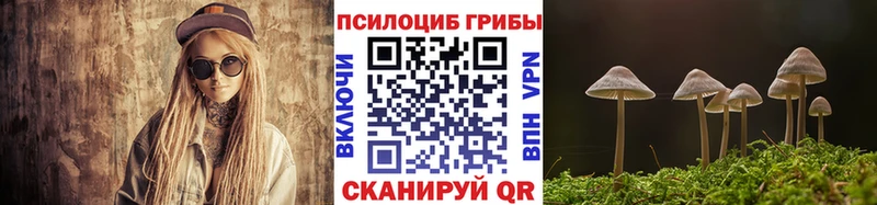 Галлюциногенные грибы MAGIC MUSHROOMS Кинешма