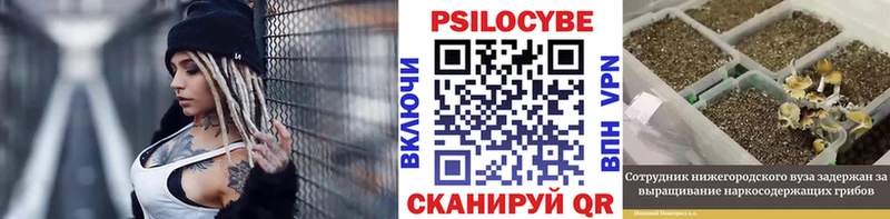 Псилоцибиновые грибы Psilocybe  OMG маркетплейс  Кинешма  купить наркоту 