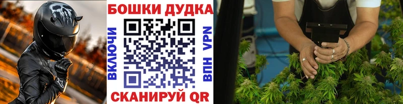 Бошки марихуана MAZAR цены наркотик Кинешма